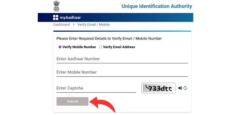 Verify Email and mobile